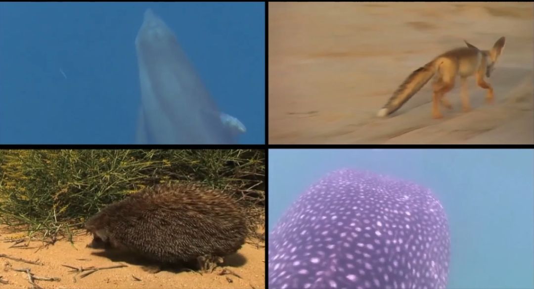 18ÐÂÀûluck¡¤(Öйú)-¹Ù·½ÍøÕ¾