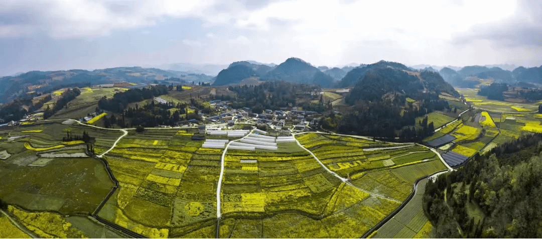 18新利luck·(中国)-官方网站