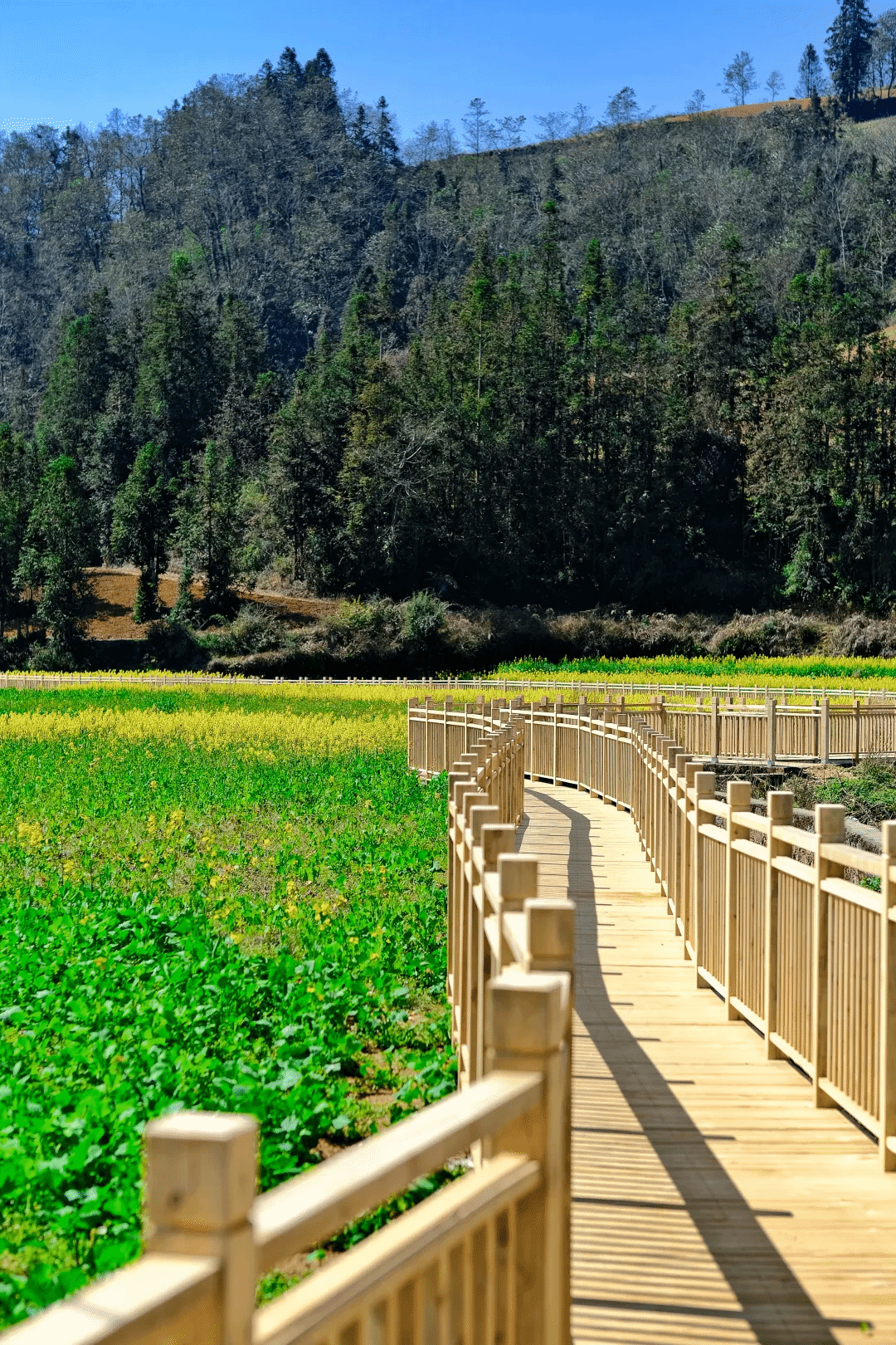 18新利luck·(中国)-官方网站