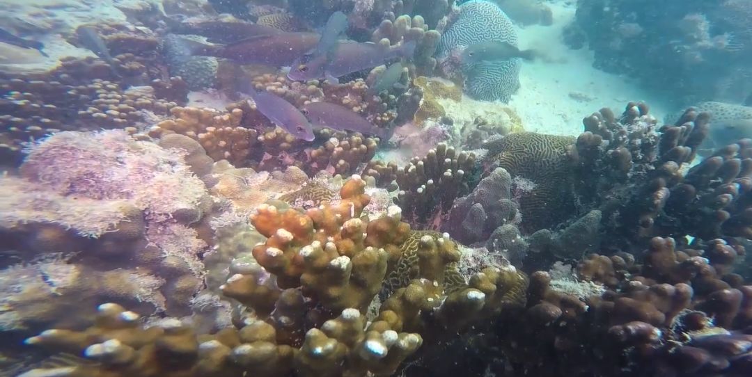 18ÐÂÀûluck¡¤(Öйú)-¹Ù·½ÍøÕ¾